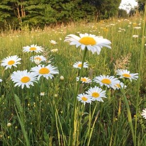 Meet your Posher, Keyne